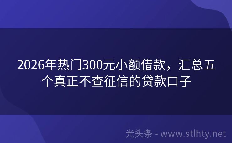 2026年热门300元小额借款，汇总五个真正不查征信的贷款口子
