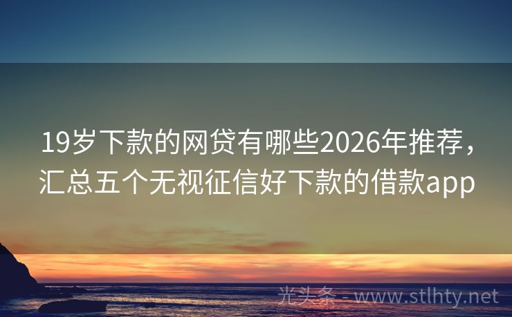 19岁下款的网贷有哪些2026年推荐,汇总五个无视征信好下款的借款app