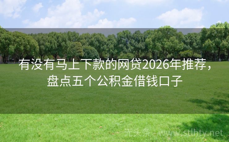 有没有马上下款的网贷2026年推荐,盘点五个公积金借钱口子