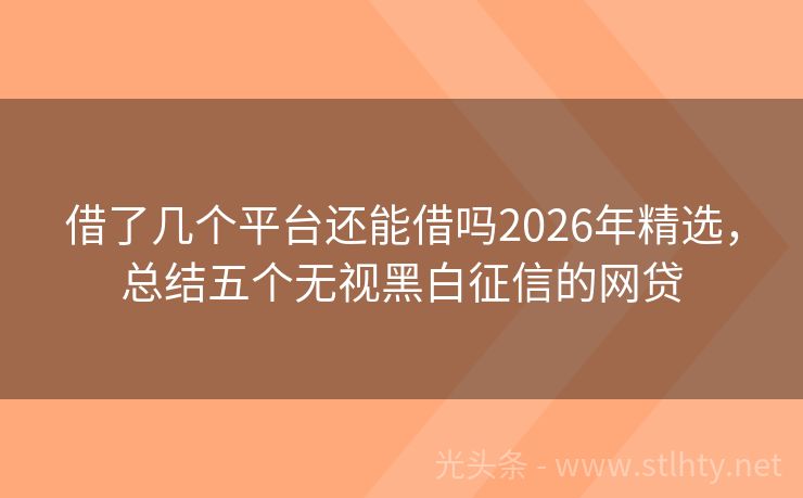借了几个平台还能借吗2026年精选,总结五个无视黑白征信的网贷