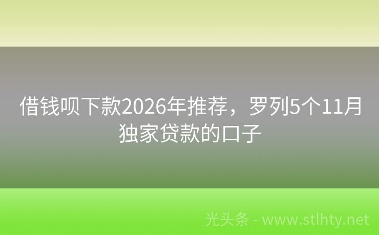 借钱呗下款2026年推荐,罗列5个11月独家贷款的口子