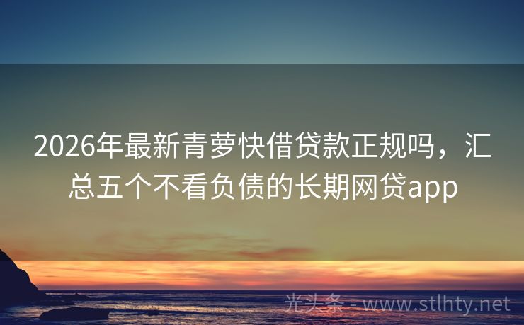 2026年最新青萝快借贷款正规吗，汇总五个不看负债的长期网贷app