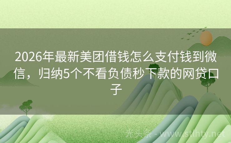2026年最新美团借钱怎么支付钱到微信，归纳5个不看负债秒下款的网贷口子