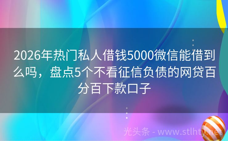 2026年热门私人借钱5000微信能借到么吗,盘点5个不看征信负债的网贷百分百下款口子