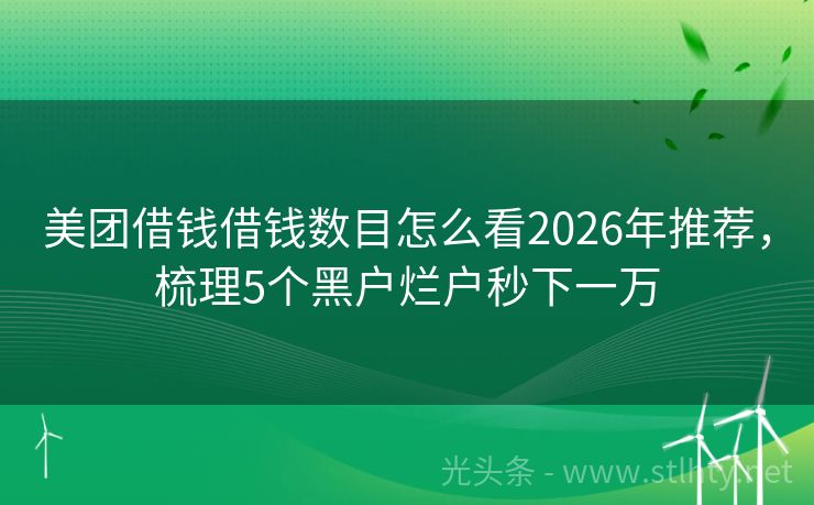 美团借钱借钱数目怎么看2026年推荐,梳理5个黑户烂户秒下一万