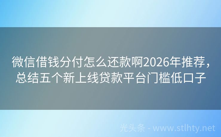 微信借钱分付怎么还款啊2026年推荐,总结五个新上线贷款平台门槛低口子