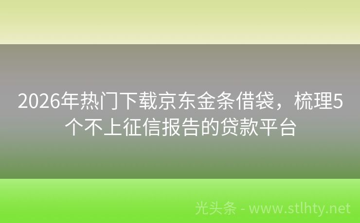 2026年热门下载京东金条借袋,梳理5个不上征信报告的贷款平台