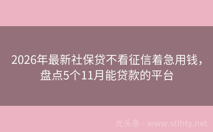 2026年最新社保贷不看征信着急用钱,盘点5个11月能贷款的平台