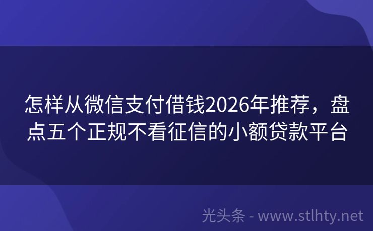怎样从微信支付借钱2026年推荐,盘点五个正规不看征信的小额贷款平台