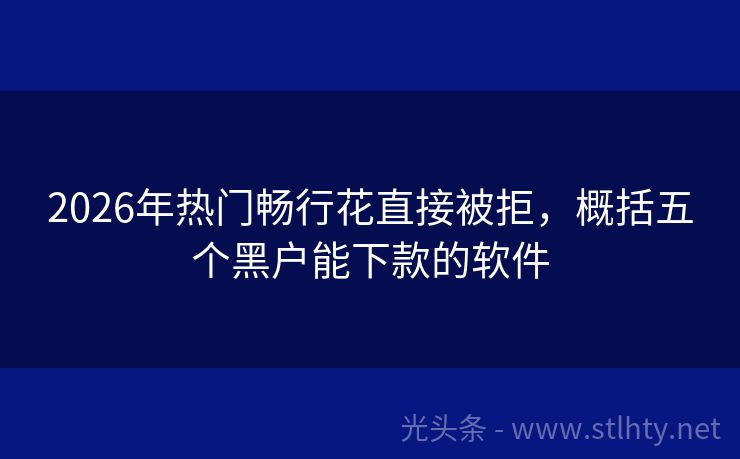 2026年热门畅行花直接被拒,概括五个黑户能下款的软件