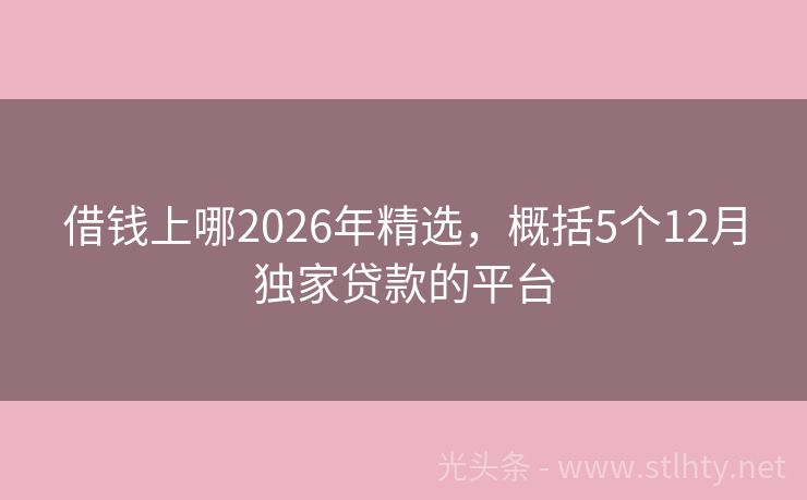 借钱上哪2026年精选,概括5个12月独家贷款的平台