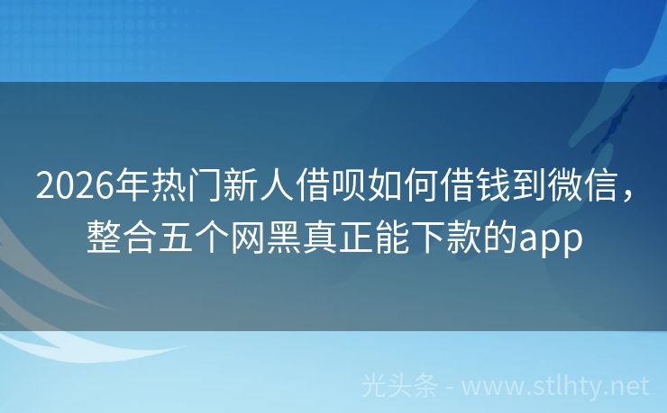 2026年热门新人借呗如何借钱到微信，整合五个网黑真正能下款的app