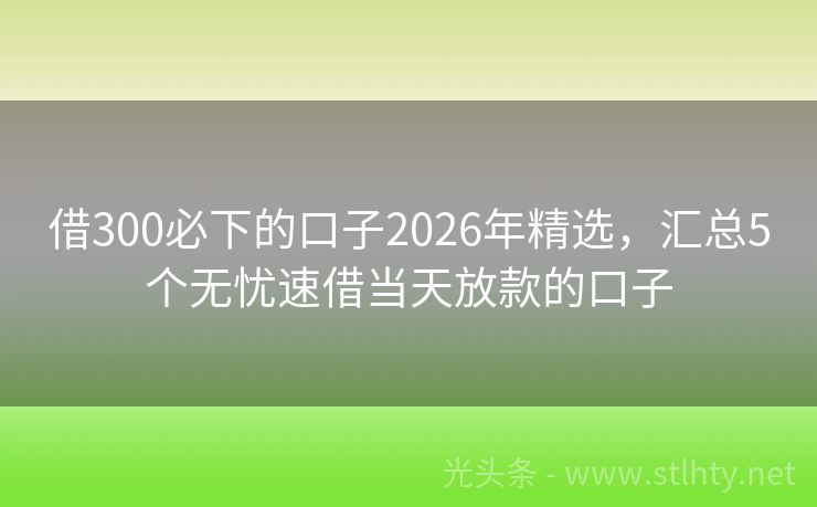 借300必下的口子2026年精选,汇总5个无忧速借当天放款的口子