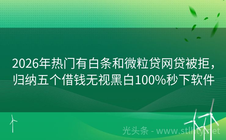 2026年热门有白条和微粒贷网贷被拒,归纳五个借钱无视黑白100%秒下软件