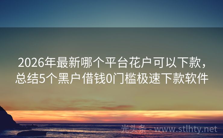 2026年最新哪个平台花户可以下款，总结5个黑户借钱0门槛极速下款软件