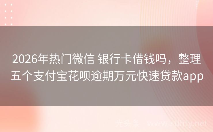 2026年热门微信 银行卡借钱吗，整理五个支付宝花呗逾期万元快速贷款app