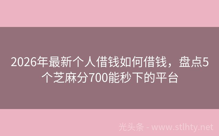 2026年最新个人借钱如何借钱,盘点5个芝麻分700能秒下的平台