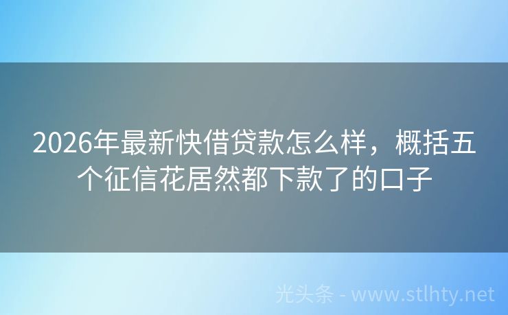 2026年最新快借贷款怎么样,概括五个征信花居然都下款了的口子