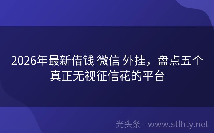 2026年最新借钱 微信 外挂，盘点五个真正无视征信花的平台