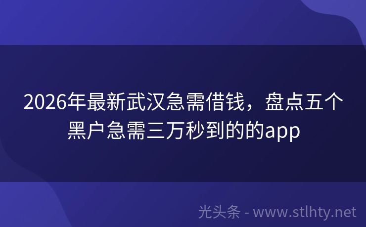 2026年最新武汉急需借钱,盘点五个黑户急需三万秒到的的app