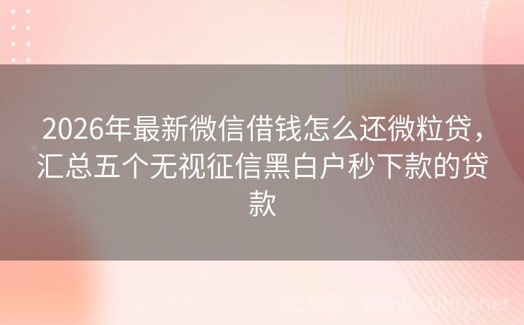 2026年最新微信借钱怎么还微粒贷,汇总五个无视征信黑白户秒下款的贷款