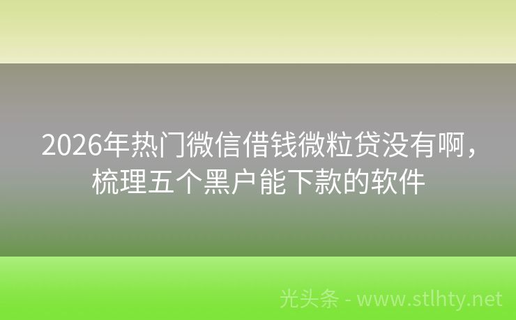 2026年热门微信借钱微粒贷没有啊，梳理五个黑户能下款的软件