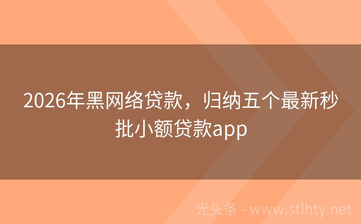 2026年黑网络贷款，归纳五个最新秒批小额贷款app
