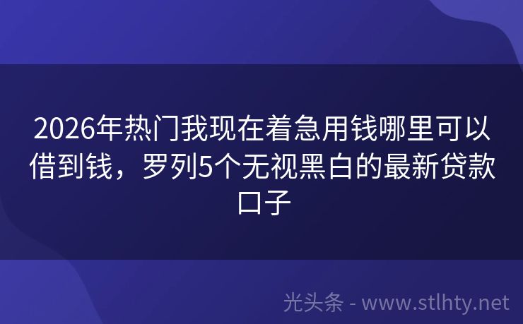 2026年热门我现在着急用钱哪里可以借到钱，罗列5个无视黑白的最新贷款口子