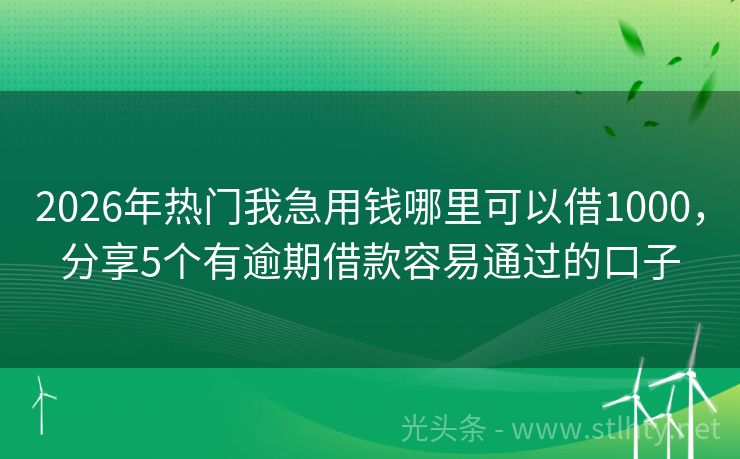 2026年热门我急用钱哪里可以借1000,分享5个有逾期借款容易通过的口子