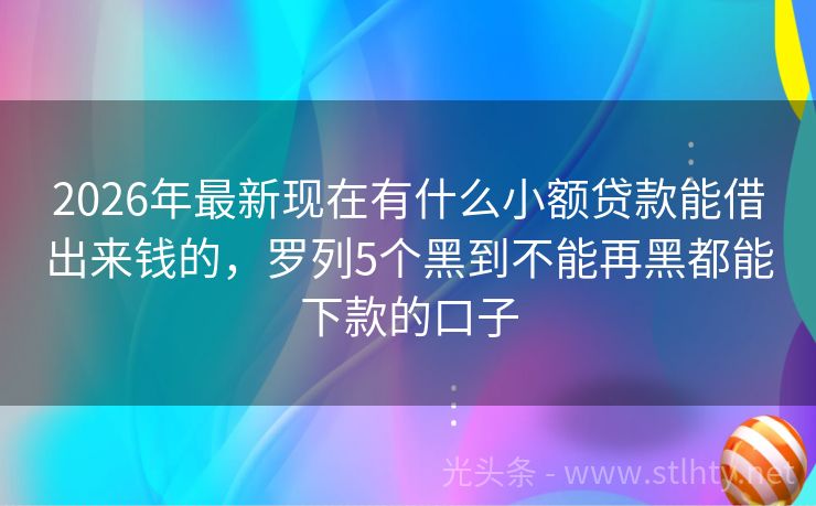 2026年最新现在有什么小额贷款能借出来钱的，罗列5个黑到不能再黑都能下款的口子