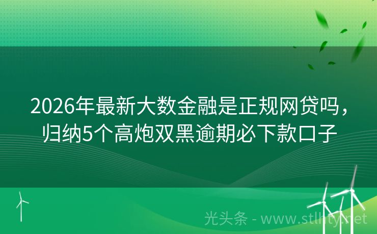 2026年最新大数金融是正规网贷吗，归纳5个高炮双黑逾期必下款口子