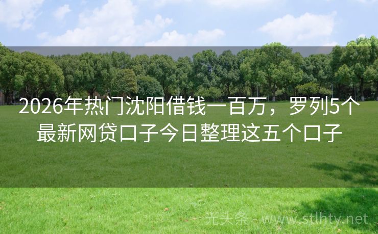 2026年热门沈阳借钱一百万，罗列5个最新网贷口子今日整理这五个口子
