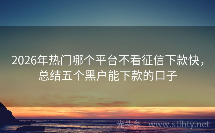 2026年热门哪个平台不看征信下款快，总结五个黑户能下款的口子