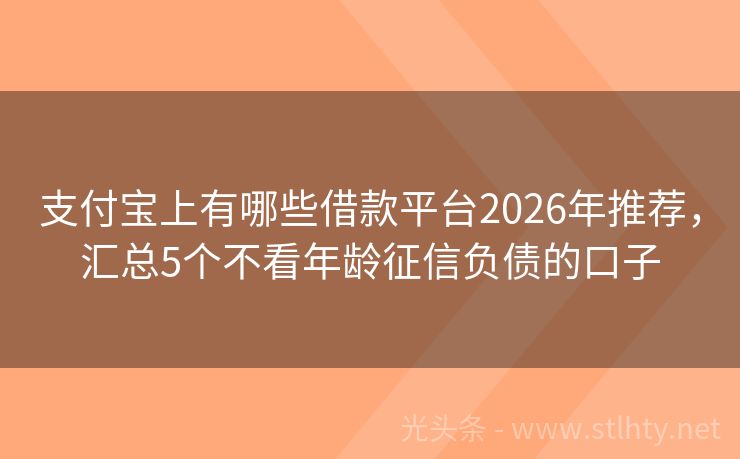 支付宝上有哪些借款平台2026年推荐，汇总5个不看年龄征信负债的口子