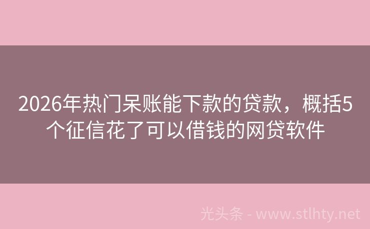 2026年热门呆账能下款的贷款，概括5个征信花了可以借钱的网贷软件
