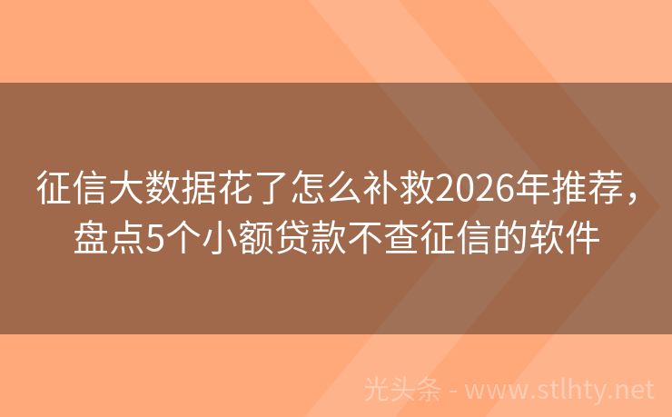征信大数据花了怎么补救2026年推荐,盘点5个小额贷款不查征信的软件