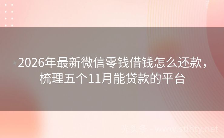 2026年最新微信零钱借钱怎么还款，梳理五个11月能贷款的平台