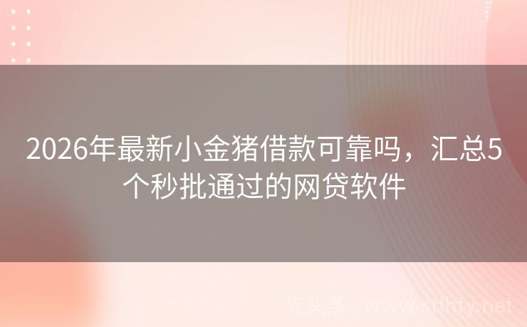 2026年最新小金猪借款可靠吗，汇总5个秒批通过的网贷软件