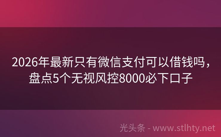 2026年最新只有微信支付可以借钱吗，盘点5个无视风控8000必下口子