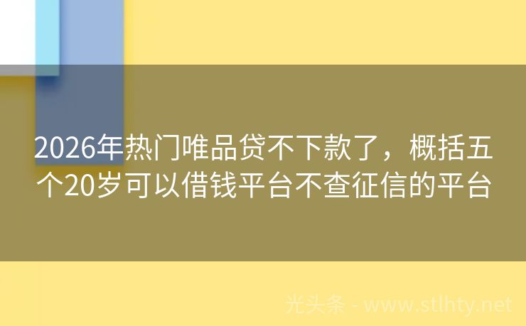 2026年热门唯品贷不下款了，概括五个20岁可以借钱平台不查征信的平台