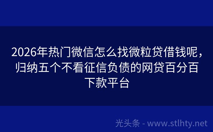 2026年热门微信怎么找微粒贷借钱呢，归纳五个不看征信负债的网贷百分百下款平台