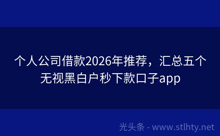 个人公司借款2026年推荐，汇总五个无视黑白户秒下款口子app