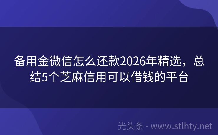 备用金微信怎么还款2026年精选，总结5个芝麻信用可以借钱的平台