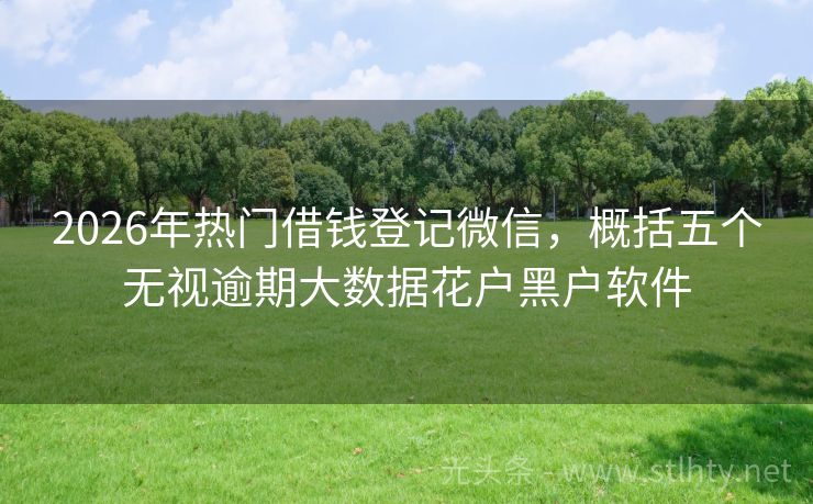 2026年热门借钱登记微信，概括五个无视逾期大数据花户黑户软件