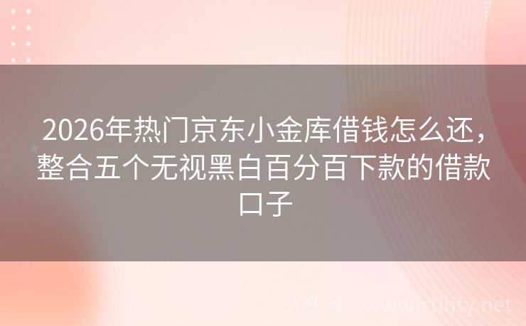 2026年热门京东小金库借钱怎么还，整合五个无视黑白百分百下款的借款口子