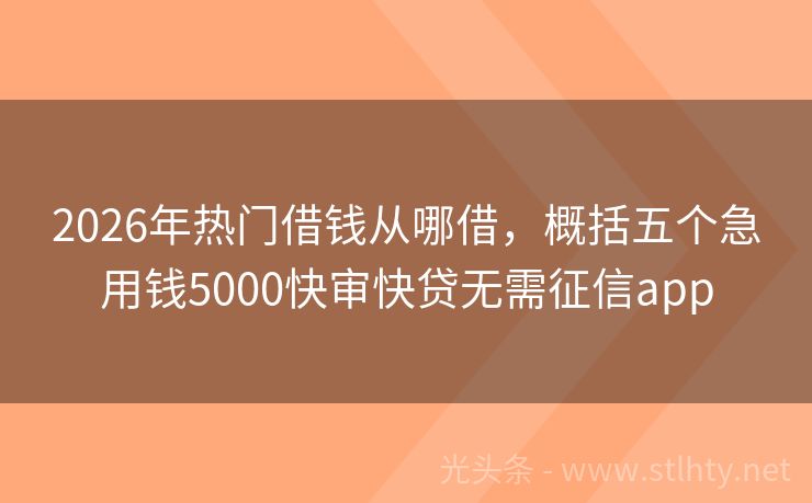 2026年热门借钱从哪借，概括五个急用钱5000快审快贷无需征信app