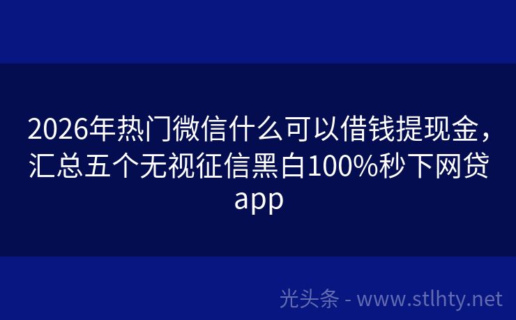 2026年热门微信什么可以借钱提现金，汇总五个无视征信黑白100%秒下网贷app
