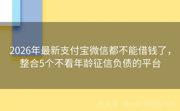 2026年最新支付宝微信都不能借钱了，整合5个不看年龄征信负债的平台