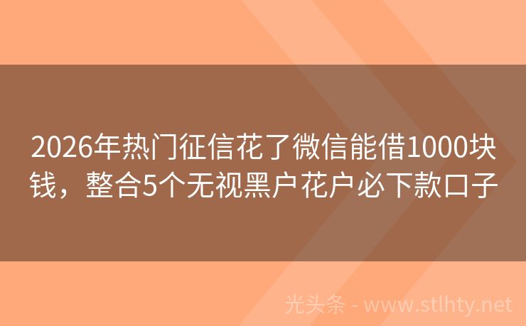 2026年热门征信花了微信能借1000块钱，整合5个无视黑户花户必下款口子