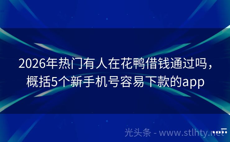 2026年热门有人在花鸭借钱通过吗，概括5个新手机号容易下款的app